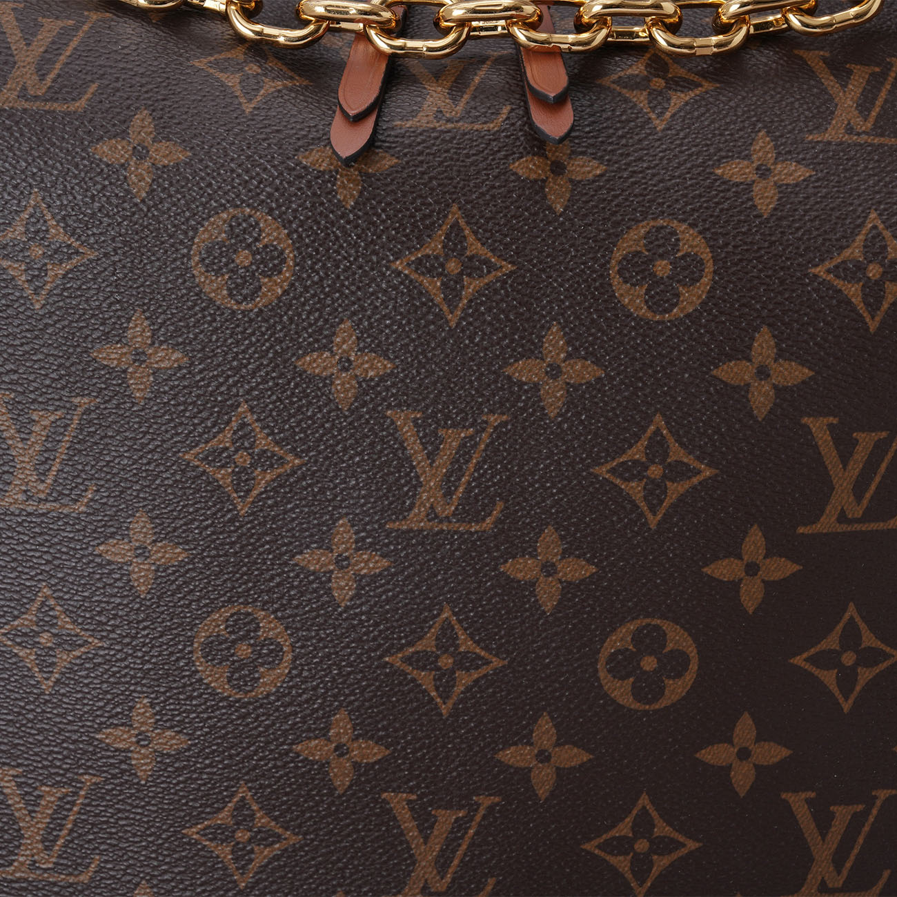 LOUIS VUITTON(USED)루이비통 M46311 모노그램 루프 호보백